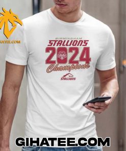 Official Birmingham Stallions 2024 UFL Champions T-Shirt Gift For True Fans